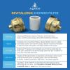 imageAquaBliss High Output Revitalizing Shower Filter  Reduces Dry Itchy Skin Dandruff Eczema and Dramatically Improves The Condition of Your Skin Hair and Nails  Chrome SF100Matte Gold