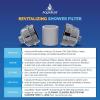 imageAquaBliss High Output Revitalizing Shower Filter  Reduces Dry Itchy Skin Dandruff Eczema and Dramatically Improves The Condition of Your Skin Hair and Nails  Chrome SF100Chrome